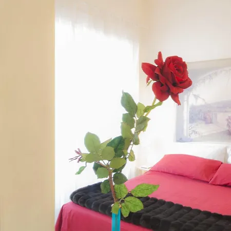 Addormi B&B-2